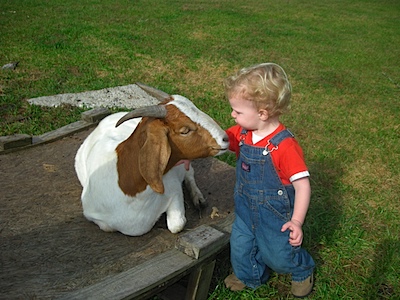Emmerson showing some goat love...until he got licked and he was DONE with the goats!